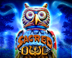 Sacred Owl